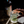 Load image into Gallery viewer, Añejo