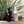 Load image into Gallery viewer, Case of Reposado & Añejo